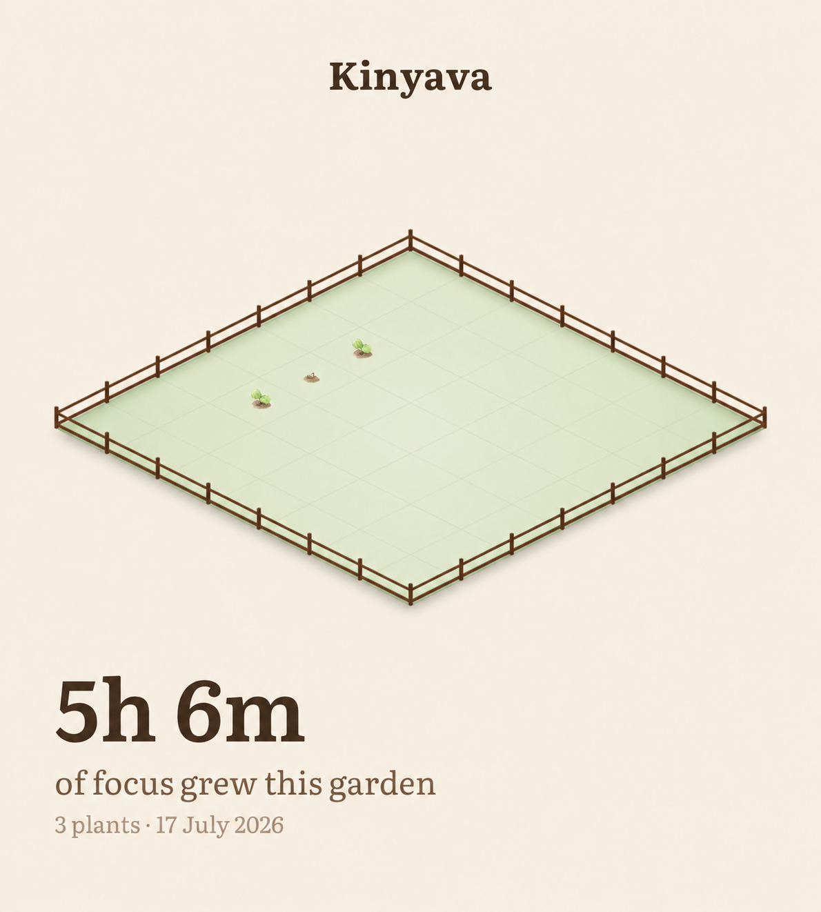 A Kinyava garden after 5 hours and 6 minutes of focus
